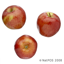 Apple - Braeburn