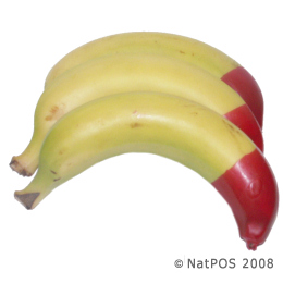 Banana - Eco