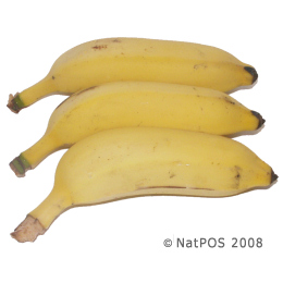 Banana - Lady Finger