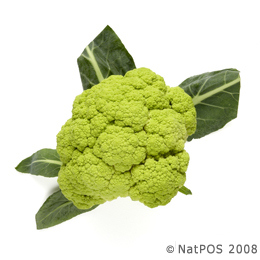 Cauliflower - Green Cauliflower