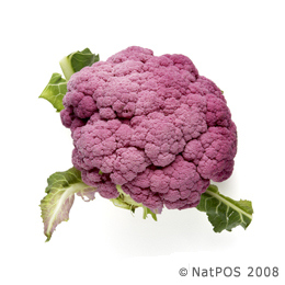 Cauliflower - Purple Cauliflower